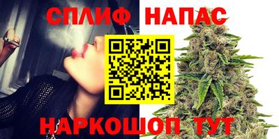 индика Кунгур