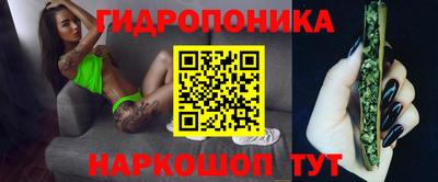 индика Кунгур