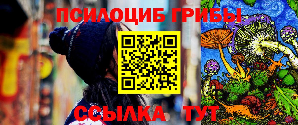 Псилоцибиновые грибы GOLDEN TEACHER Зеленодольск