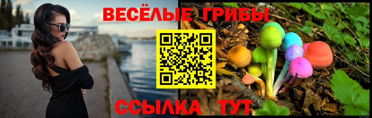 Галлюциногенные грибы ЛСД  Псилоцибиновые грибы Cubensis  Вход с VPN  Зеленодольск 